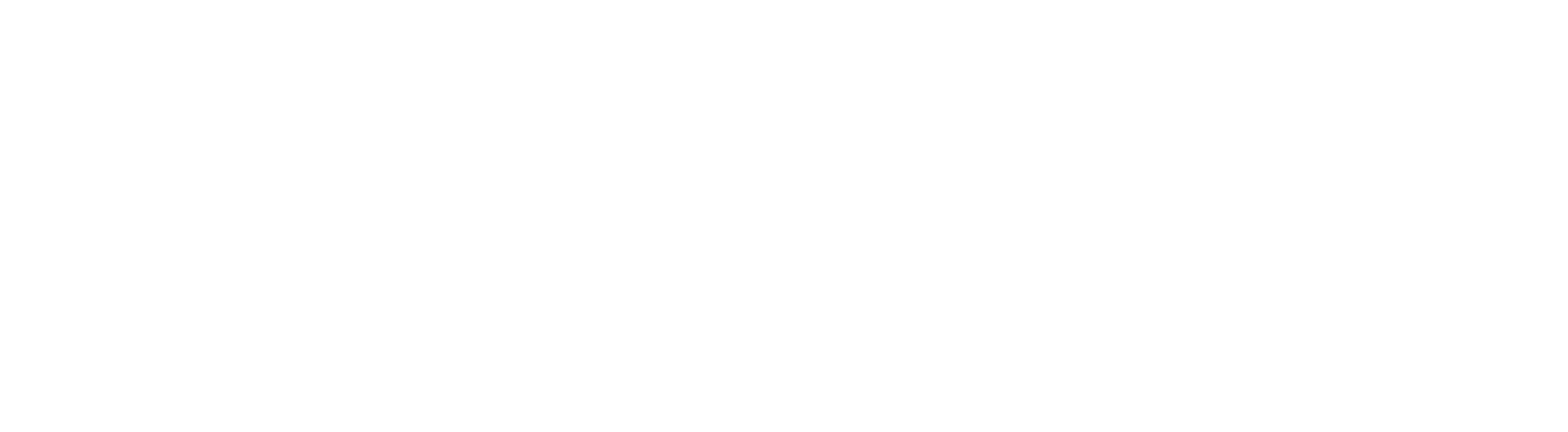 Pro Systemer AS logo