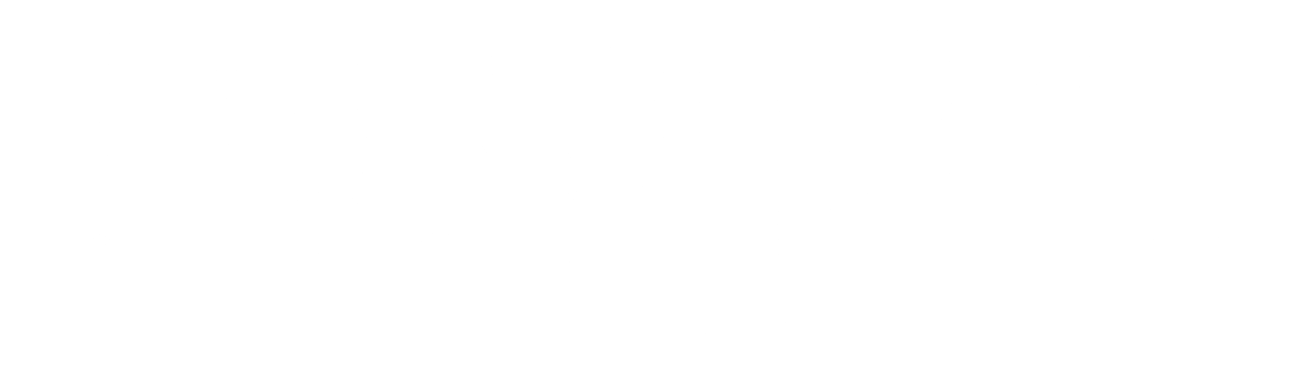 Pyroteknikk logo
